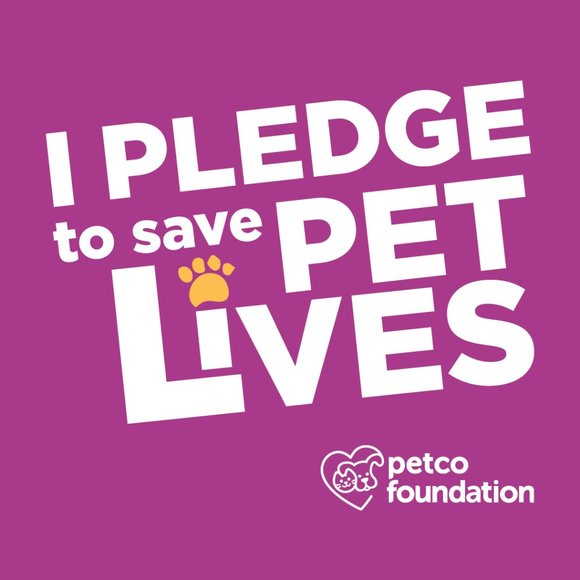 Meet your Posher, TAILSSpayNeuter - Picture 5 of 5